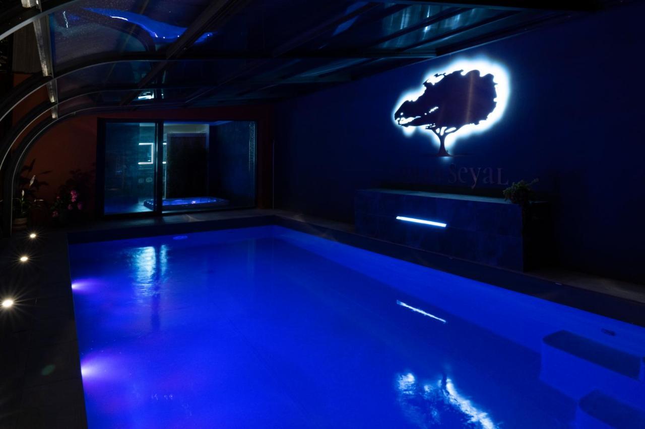 Villa Seyal - Avec Piscine - Jacuzzi - Sauna & Climatisation Le Mans Exteriér fotografie